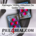 Kamagra 100Mg Utilisation De Gelée Orale 15